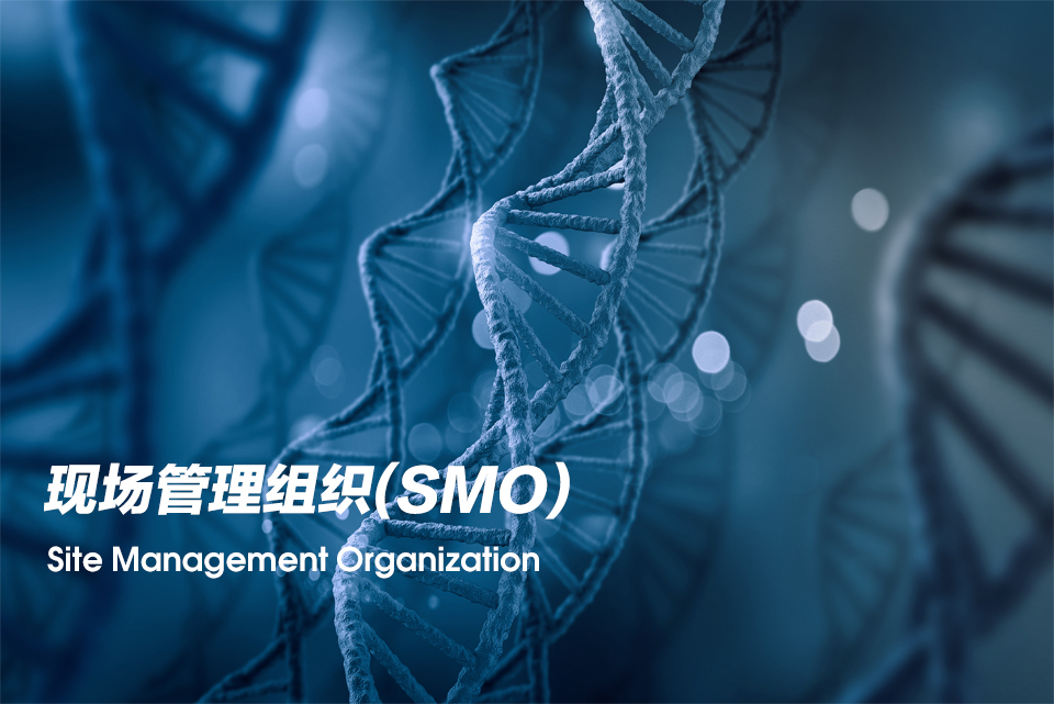 现场管理组织（Site Management Organization，，，SMO）